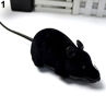 Funny Wireless Remote Control Tricky Moving Rat Mouse Cat Playing Chew Toy Gift. 