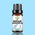 Ocean Fragrance Oil 10 ML - Candle Making Scent - Handmade Soap - Home Diffuser Aromatherapy Oil. 