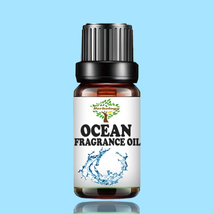 Ocean Fragrance Oil 10 ML - Candle Making Scent - Handmade Soap - Home Diffuser Aromatherapy Oil