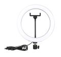 26CM Selfi Ring Light & Mobile Holder With 7 Feet Tripod Stand In 3 colors, Best For Videography & Photography. 