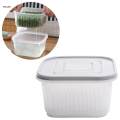 Small Fresh Food Storage Box Container Sealed with Lids Drainer for Onion Fruits Garlic. 