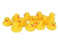 Pack Of 6 Chu Chu Bath Tub Play Squishy Toy For Kids. 