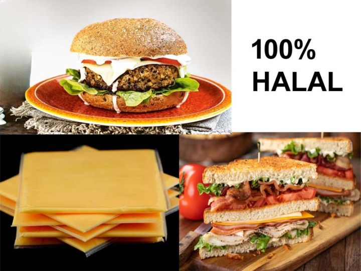 Burger%20Cheese%20Slice%20%7C%2010%20Slices%20Pack%20%7C%20Imported%20Halal%20Slice%20Cheese%20%7C%20Pegah%20Cheddar%20Cheese%20for%20Pizza,%20Sandwich,%20Toast%20&%20Burgers%20-%20Image%205