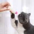Kitten Feeder - Puppy Feeder - Cat Feeder - Kitten Feeding Bottle - Kitten Feeder Bottle. 