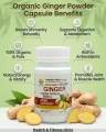 Ginger Powder Capsules 60 | Adrak Herbal | 100% Pure & Natural | Digestive & Immunity Support. 