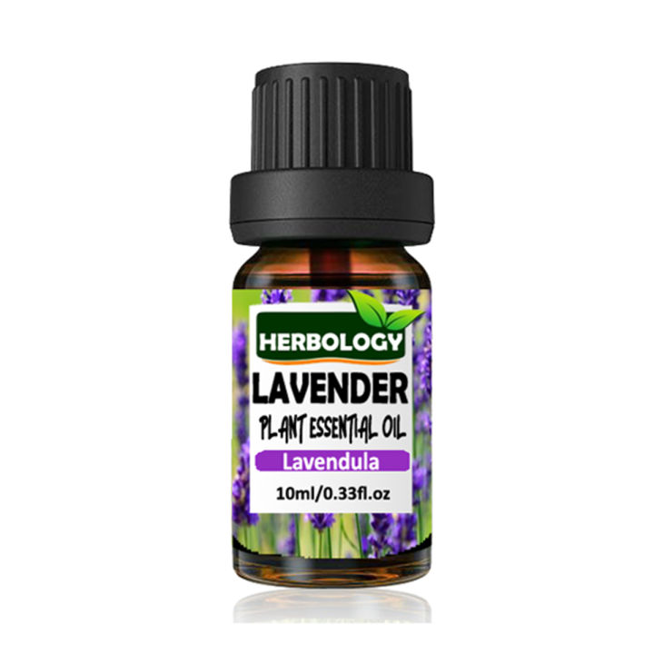 Lavender Essential Oil , 100% Pure Therapeutic Grade, Steam Distilled, 100% Pure, Vegan, Aromatherapy, Diffuser, Ceramic Diffuser, Pure, Concentrated, EO, Aroma Diffuser