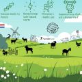 WonderGoat Organic Goat Milk Powder | The Dairy of the World's Tallest People | Supports Brain Health & Digestion with A2 Protein 500G. 