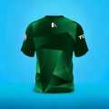 Pakistan Cricket Team Jersey for T20 World Cup 2024 - Official Replica Shirt With Name. 