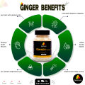 Premium Organic Ginger Powder (Sonth) - 170g Pure & Natural Dried Adrak Powder for Tea, Cooking & Weight Loss. 