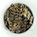 100g | Quality Black Stone Flower Dagar Phool Herbs and Spices for Cooking Exotic Herb Dhagor Phool. 