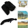 Garden Catching Bird Trap Net Anti Bird Mist Net Mesh Protection Fruit Crop Not Hurt Bird Orchard Protection Bird Net Tools（4X2M）. 
