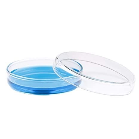 High%20Borosilicate%20Glass%20Petri%20Dishes%20with%20Lids%20Bacterial%20Culture%20Dishes,%20a%20Pack%20of%205PCS%20-%20Image%202
