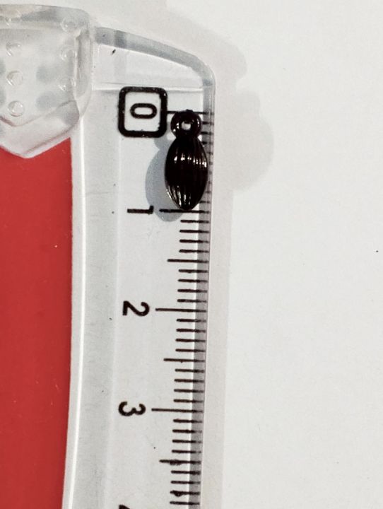 Cute%20Black%20Tiny%20Oval%20Tussle%20Pendent%20Acrylic%20Plastic%20Beads%20%E2%80%93%20Pack%20of%2040%20gms.%20Versatile%20for%20DIY%20Jewelry,%20Craft%20Projects,%20Dress%20Accessories,%20Home%20Decorative%20Ideas.%20-%20Image%205