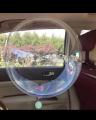 Crystal Bubble Transparent Balloons 18Inches. 