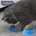 Green forest Cat Licking Toy Clear Stomach Cat Mint Ball Licking Cleaning Toys. 