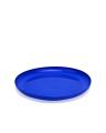 Frisbee for Everyone. 