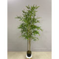 Imported artificial Bamboo Plant with black Planter. 