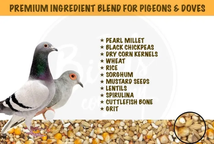 The%20Birds%20Company%20Premium%20Seed%20Blend%20of%208%20Grains%20&%20Nuts,%20Fortified%20with%20Spirulina,%20Bird%20Food%20for%20Pigeons,%20500%20grams%20pack%20-%20Image%203
