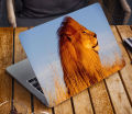 African Lion King Laptop Notebook Skin Sticker Cover Art Laptop Skin Fits 13.3" 14" 15.6" 16". 