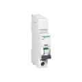 schneider Single Pole Circuit Breaker 5Amp, 10Amp, 15Amp, 32Amp, 63Amp. 