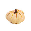 Small Pumpkin Non-Toxic Foam Orange Color Mini Pumpkin Lightweight Foam Pumpkin for Halloween Decor Party Props Photo Props. 