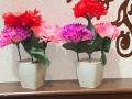 buy01plant get 01 plant free size 7inches Multi Gada Mini Plant Artificial Decoration Piece with pot Best for home & Office Decoration purpose. 