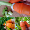 Multi-Purpose Silicone Thumb Knife Finger Protector Vegetable Harvesting Knife Plant Blade Scissors Cutting Rings Garden Gloves  Plucking Device for Cutting  Agricultural Tool Kit  Protect Finger. 