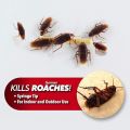 BulbHead Original Roach Doctor Cockroach Gel Ready-to-Use Cockroach Gel Bait - Outdoor & Indoor Roach Killer with Syringe Applicator. 