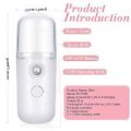 Portable Nano Hydrator Mini Spray Humidifier Face Facial Mist 30ml Humidifier Sprayer. 