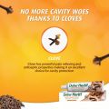 Dabur Herbal Cavity Protection Clove Toothpaste 100g | Enriched with Clove With No Added Chemicals | For Cavity Free Strong Teeth. 