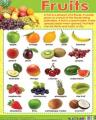 Laminated Educational Vegetable,Fruit,Animals Chart. 