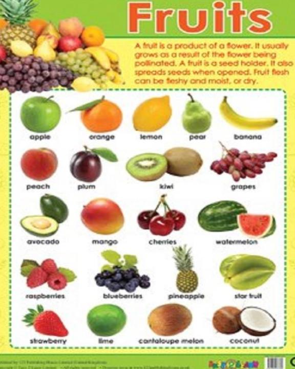 Laminated Educational Vegetable,Fruit,Animals Chart