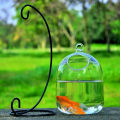 Vase Fishbowl Transparent Hanging Glass Creative Decor Fish Tank for Living Room. 
