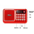 Portable Bluetooth FM Radio Speaker Mini Handheld Digital USB TF MP3 Player Support 18650 Battery 3.5mm Headphone. 