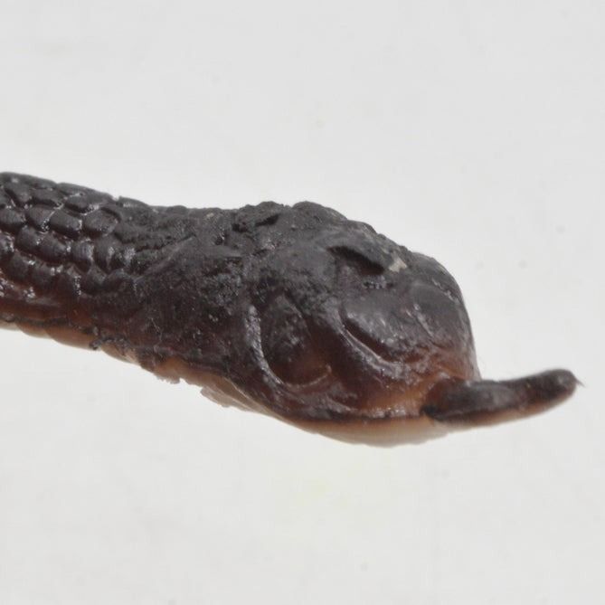 Realistic%20Rubber%20Cape%20File%20Snack%20Toy%20Gift%20for%20Kids%20%E2%80%93%20Fun%20&%20Unique%20Plaything%20-%20Image%202