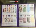 Write and Wipe ABC 123:  Early Learners (Write and Wipe) BOOK.. 