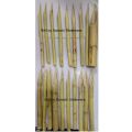 Set of 19pcs x 6inch length Bamboo Reed Calligraphy Wooden Pens. 