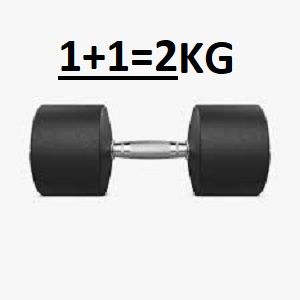 ZEE MAX FITNESS Rubber Coated Dumbbells Pair of 1 kg (1+1)