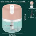Techmanistan 250ml USB Rechargeable Portable Electric Mini Garlic Chopper, Food Chopper, One Touch Operation Mincing Machine Mince Chopper. 
