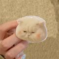 Korean Cute Sad Cat Griptok Bracket For iPhone 15 Korean Cartoon Lovely Kitty Phone Holder Ring Support Stand Grip Tok Gift. 