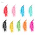 100 Pcs Feathers Jewelry Feathers Craft Feathers for Wedding Decorations, Home Decor - Red. 