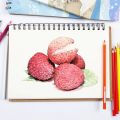 FaberCastell's Classic Color set of 60pcs/100pcs color pencil. 