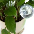 20 Pcs Plant Watering Bulbs Clear -Watering Globes Automatic Water Balls Device Vacation Houseplant Pot Bulbs. 