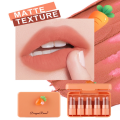Dragon Ranee 5 Colors Small Lipstick Set Cute Portable Matte Lipstick. 