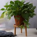 plant Display Stands-2 x Wooden Plant Stand-log color. 