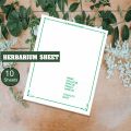 Herbarium Sheets, Herbarium File, Pack of 12 Herbarium Sheet. 