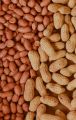 Peanuts Whole \ Mong Phali | 250g. 
