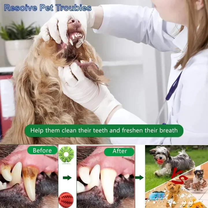 Extra%20Tough%20Rubber%20Treat%20Ball%20Toy%20Pet%20Dog%20Toys%20Funny%20Interactive%20Elasticity%20Ball%20Pet%20Chew%20Toys%20For%20Dog%20Cleaning%20Tooth%20Clean%20Ball%20Food%20-%20Image%206