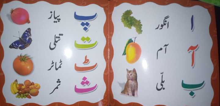 Kids%20First%20Learning%20Books%20(Pack%20of%205)%20Best%20for%20preschool%20%7C%20suitable%20for%20self%20learning%20Best%20for%20birthday%20gift%20-%20Image%206