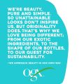 OGX Deeply Restoring + Pracaxi Recovery Oil AntiFrizz Shampoo with Murumuru Buttter to Intensely Hydrate Curly Wavy Hair SulfateFree Surfactants for ColorTreated Hair, 13 Fl Oz. 